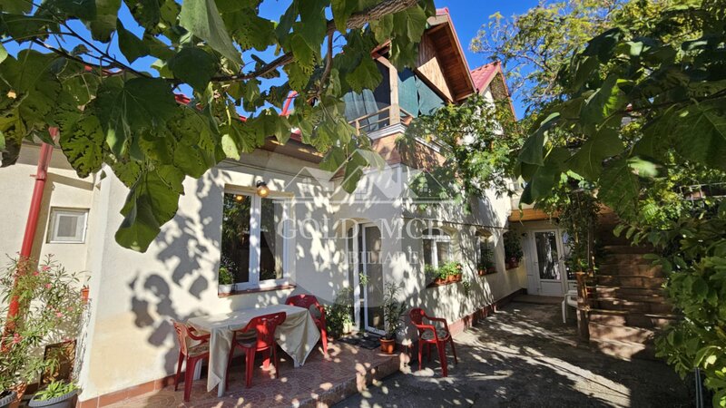 Metrou Pieptanari casa curte