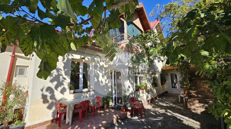 Metrou Pieptanari casa curte